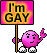 gay101